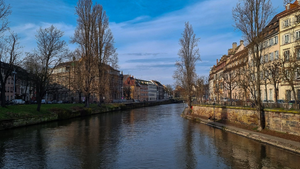 Courtier Strasbourg